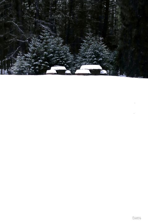 picnic tables winter 2 IMG_6530