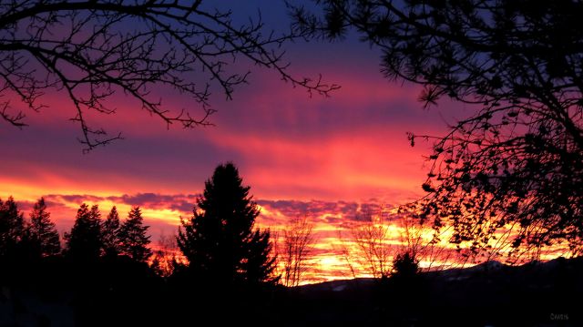 sunset jan 25 IMG_0346