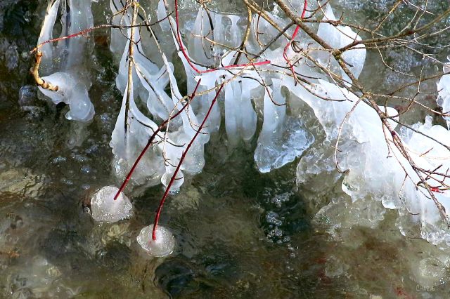 IMG_1397 MELTING ICE ch