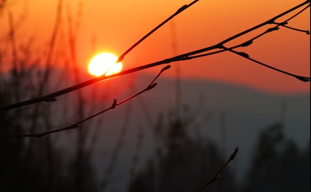 IMG_2421 sunset smokey evening