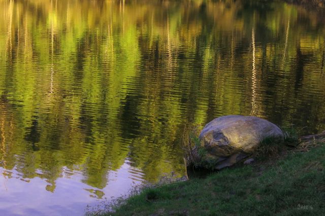 IMG_2585 rock on shore lake green ch