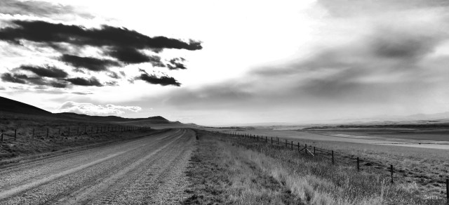 IMG_8826 rnage road ranch pincher breek bw ch