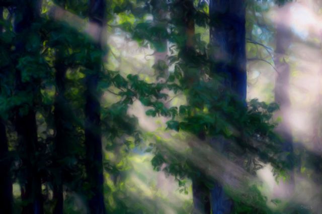 forest rays painting ch 2