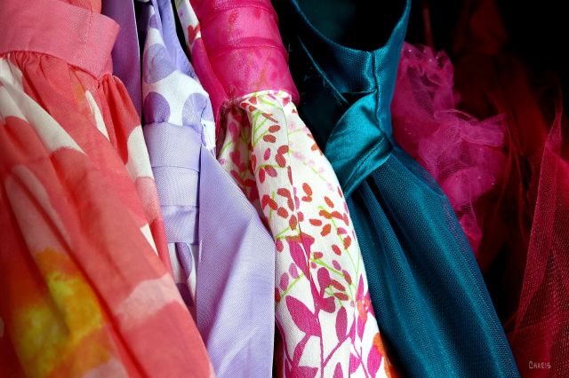 IMG_2038 dresses fabric closet ch
