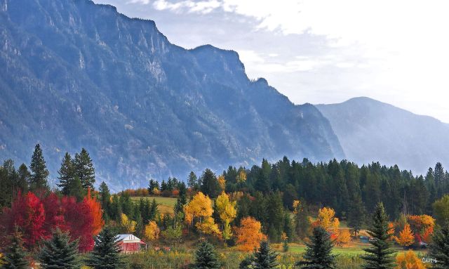 Canyon autumn  ch mist IMG_7182