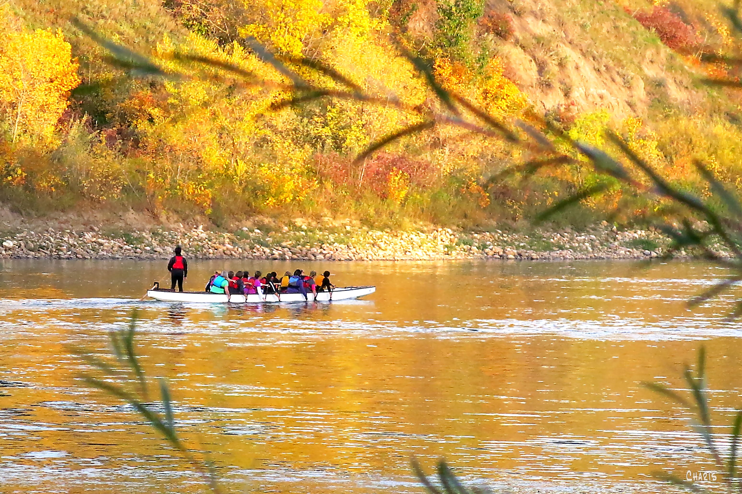 boat N. Saskatchewan river rowers IMG_5768