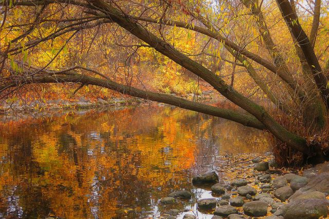 IMG_8491 kalispell stream