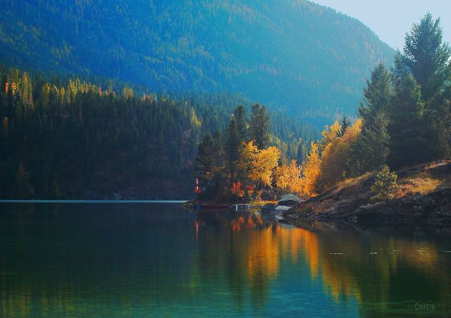 lazy lake 2 gold tree dock reflect ch DSC_0188