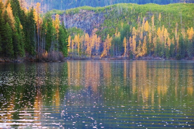 Munro Lake rain ch IMG_8359