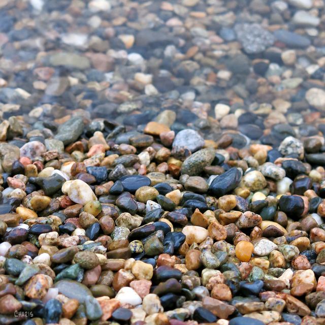 beach pebbles stones IMG_5277