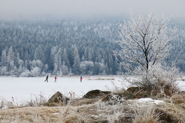 Elizabeth Lake skaters IMG_6905