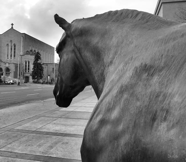 horse statue st josephs cathedral IMG_8755