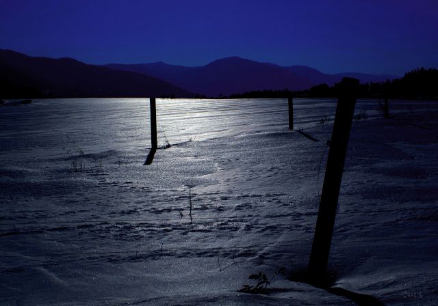 winter field snow ch IMG_0564