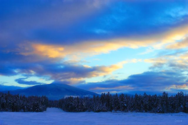 Community forest ch winter snow Mt. Baker  sky DSC_0101