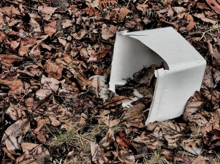 dead leaves broken pail IMG_0746