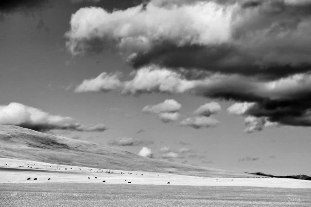 cowboy trail field 22x ch bw clouds IMG_8733
