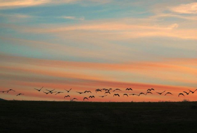 560508_10151048889600732_1445850165_n