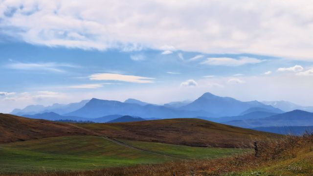 IMG_3457 Burmis field mtns ch