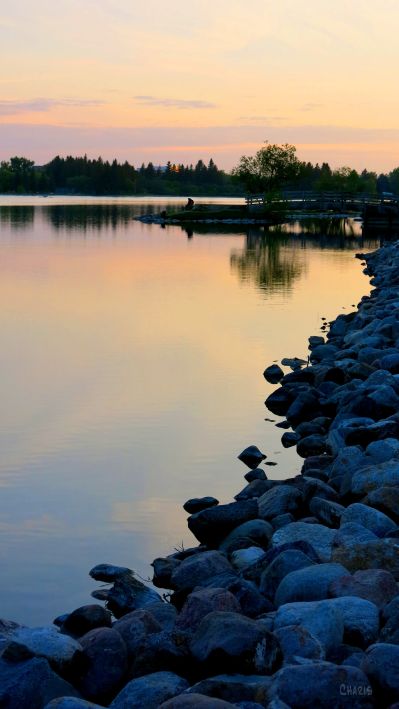 sundet henderson lake couple IMG_1921