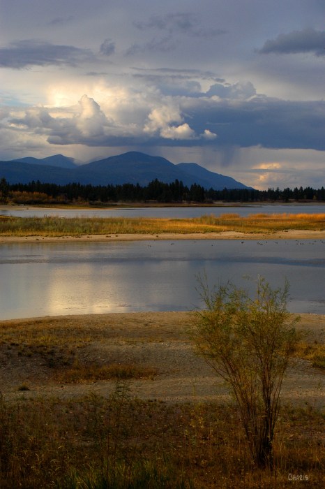 a-wasa-bird-sanctuary-ch-rain-cloud-dsc_0214
