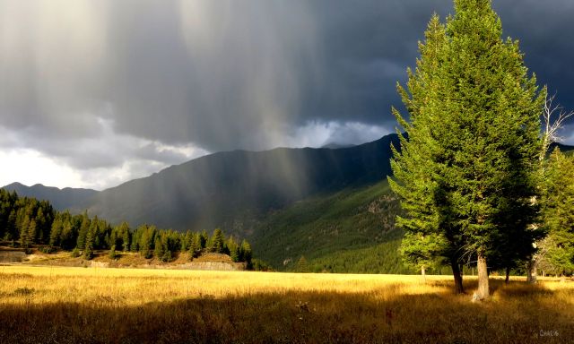 lazy-lake-field-mountain-cloud-rain-ch-rs-img_4624