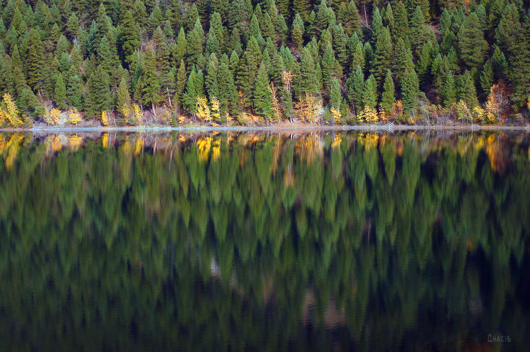 lazy-lake-reflection-evergreens-ch-rs-dsc_0182