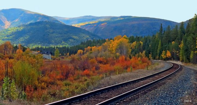 train-tracks-autumn-ch-crop-img_4265_edited-1