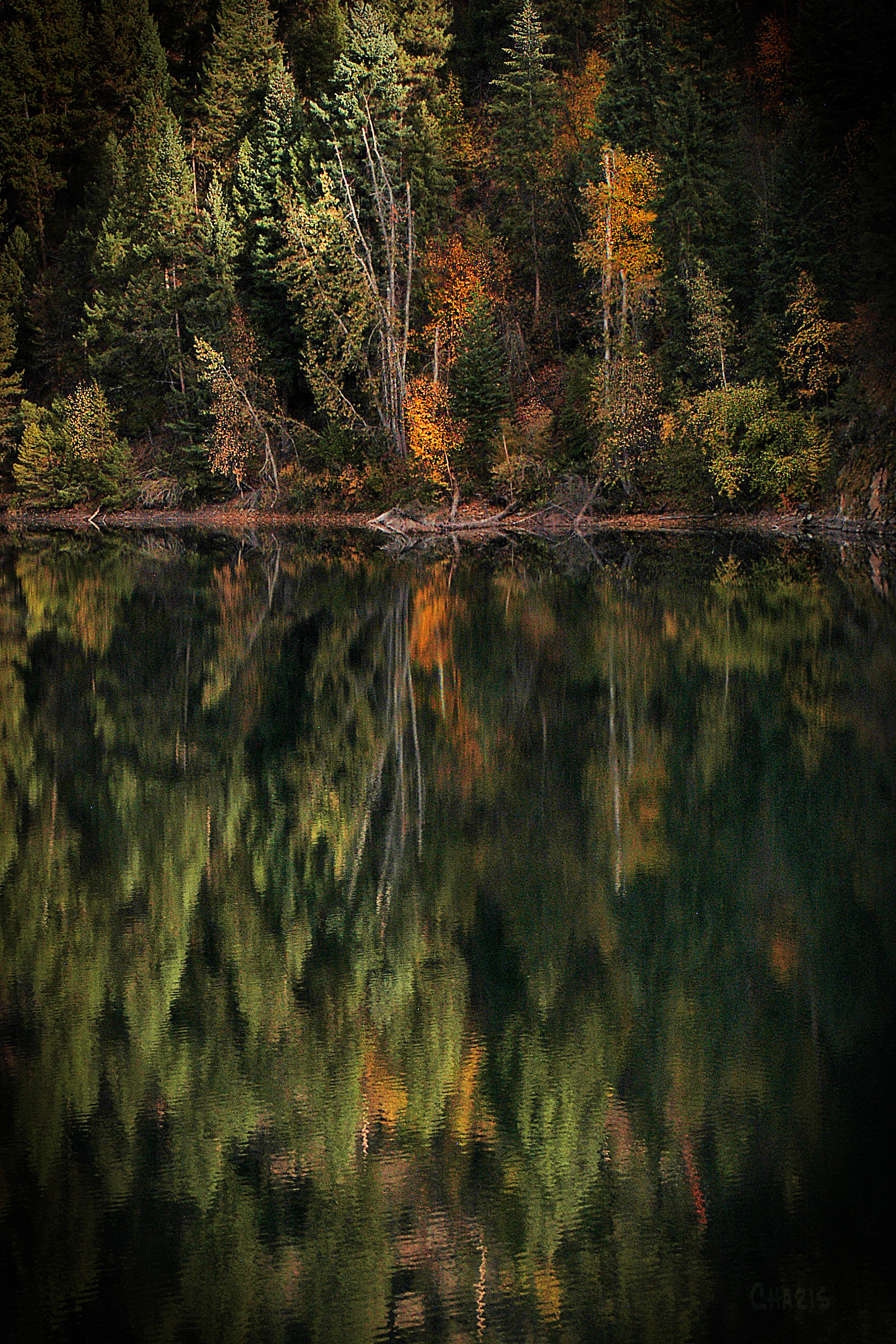 autumn-lazy-lake-green-reflect-dsc_0190