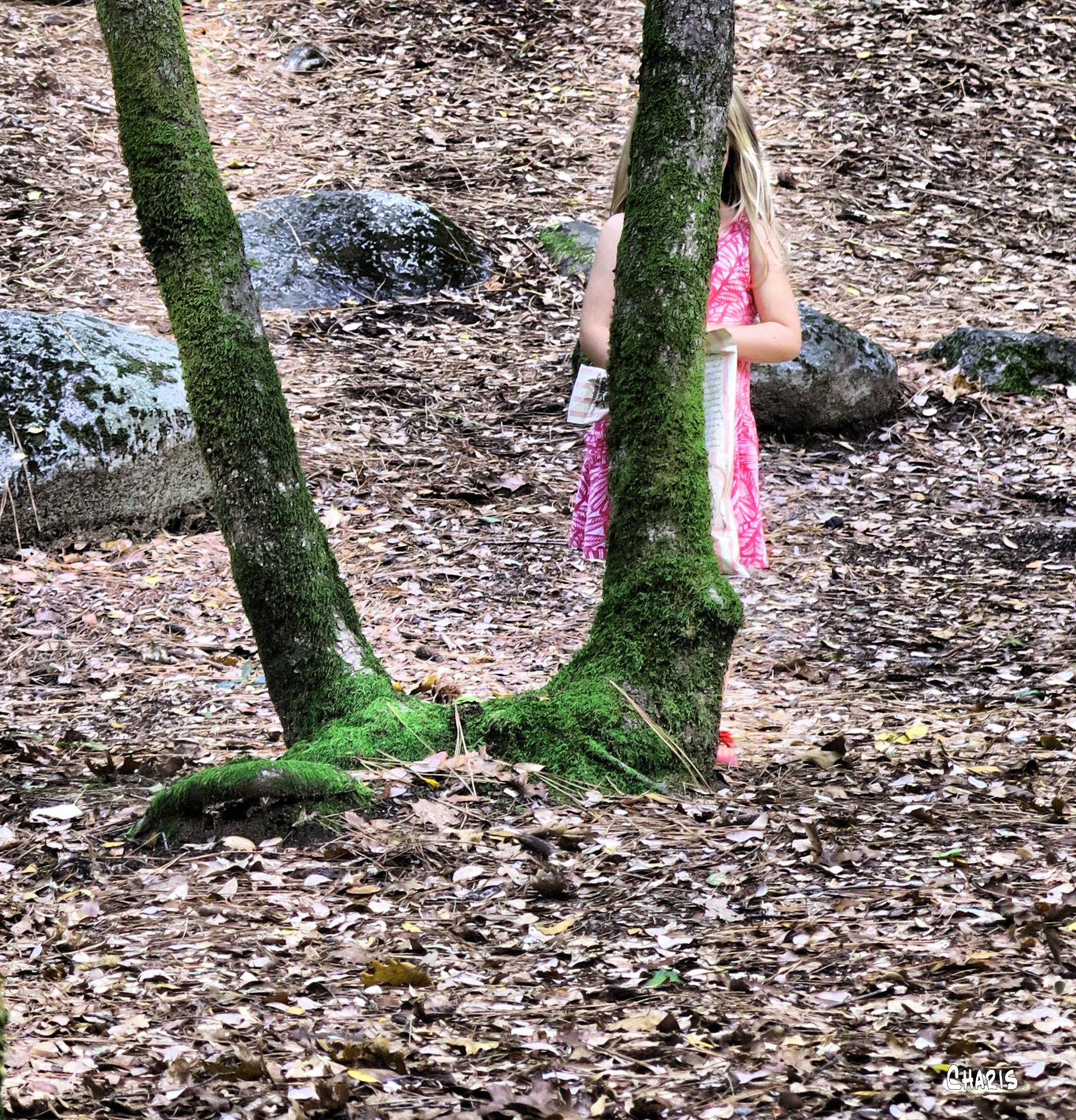 girl-hiding-tree-ch-crop-california-img_4949