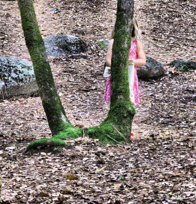 girl-hiding-tree-ch-crop-california-img_4949