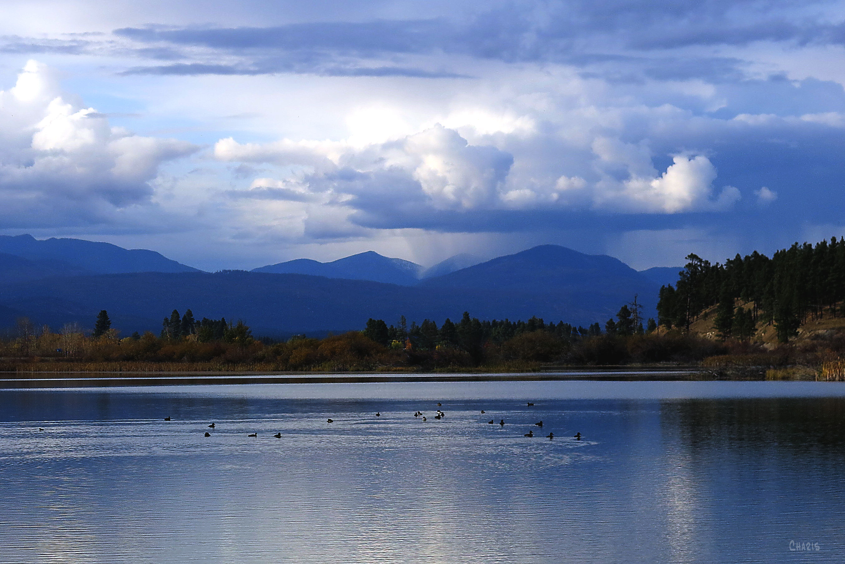 wasa-blue-clouds-sky-birds-img_4640