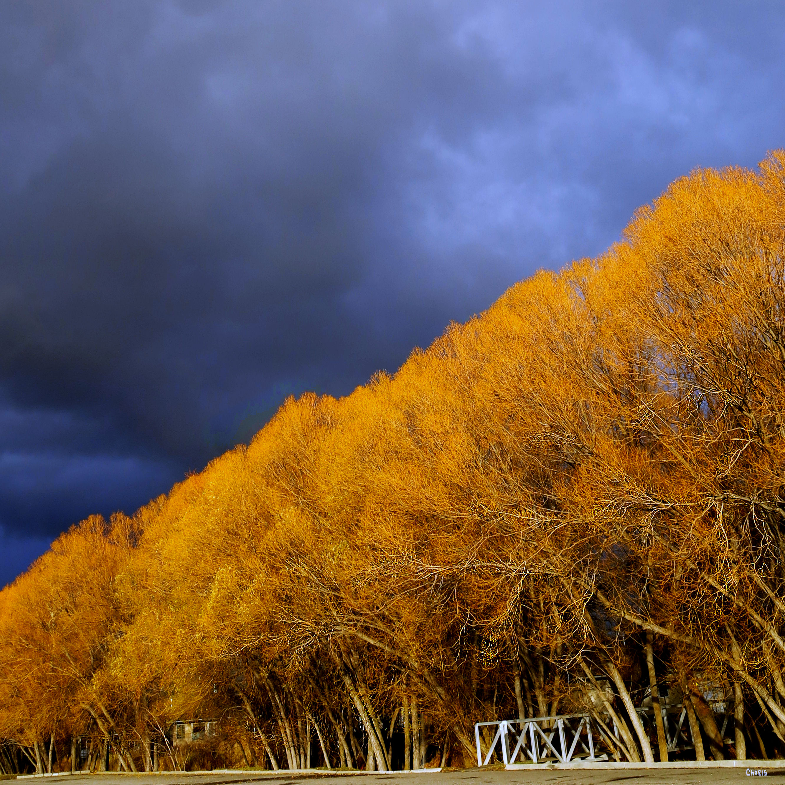 willowa-autumn-mall-ch-dark-sky-img_5660