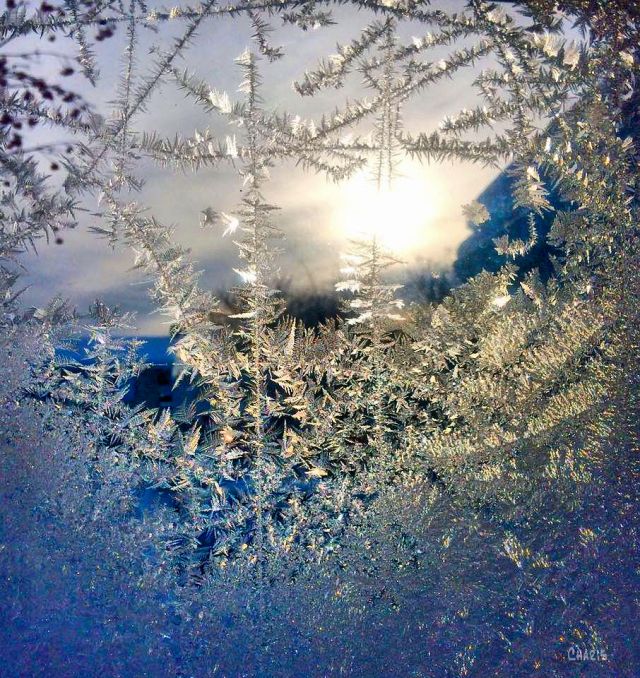 frost window ch .jpg