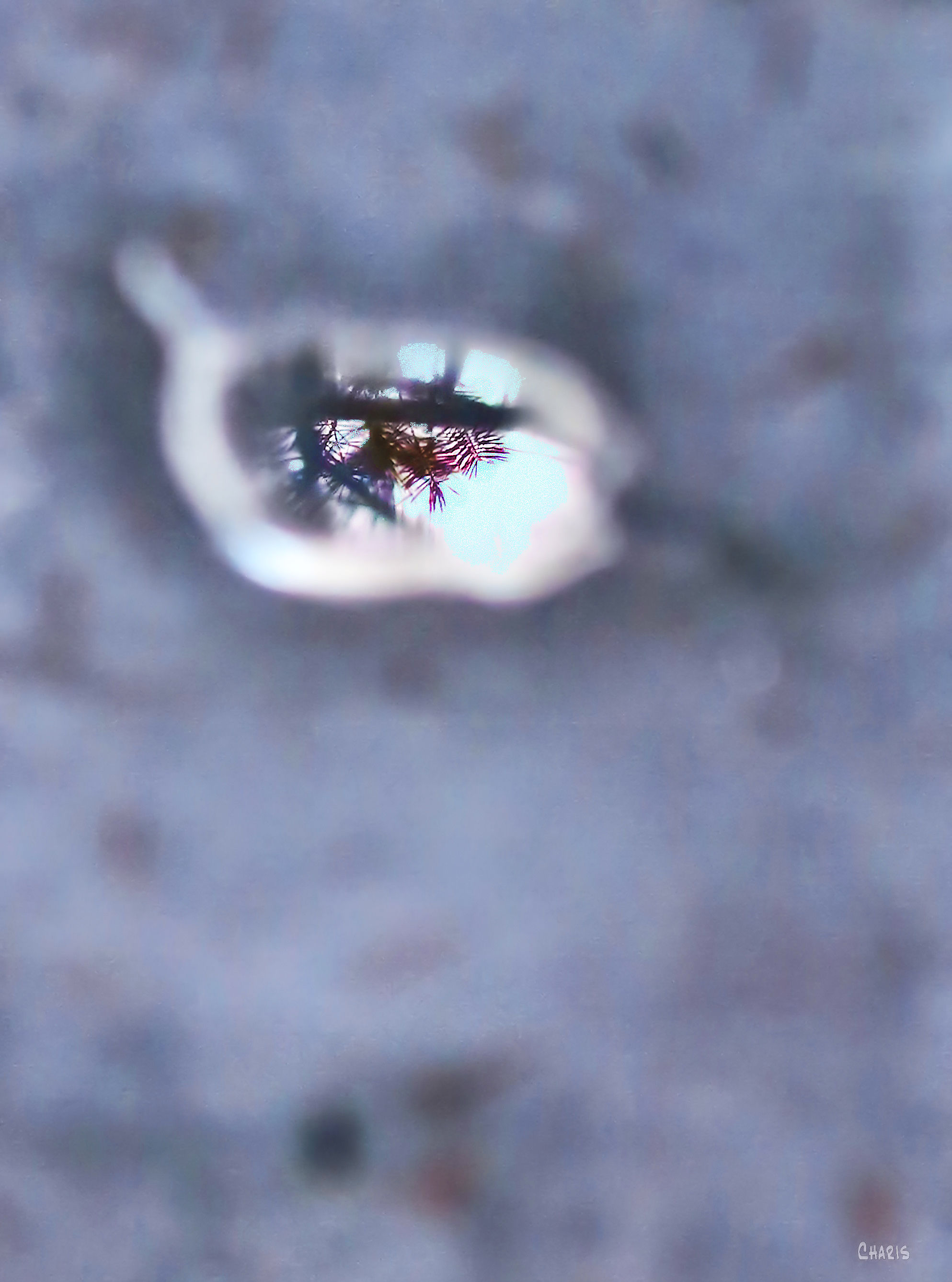 glimpse-puddle-ice-ch-img_0619