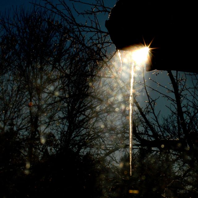 icicle-sun-ray-dsc_0358