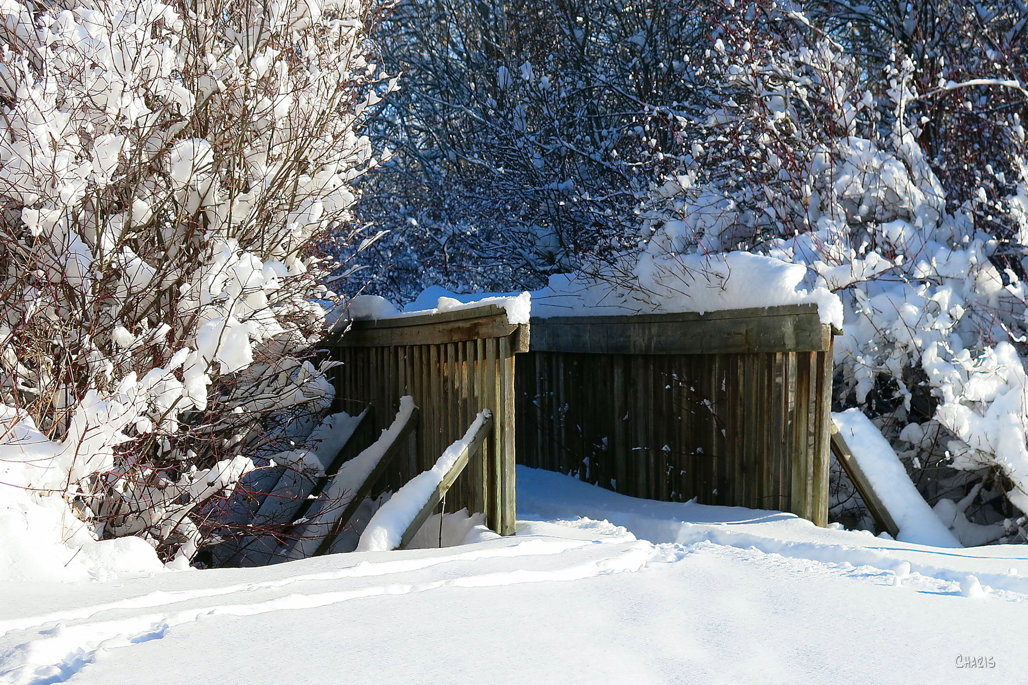 bridge-kin-park-winter-snow-ch-img_6044