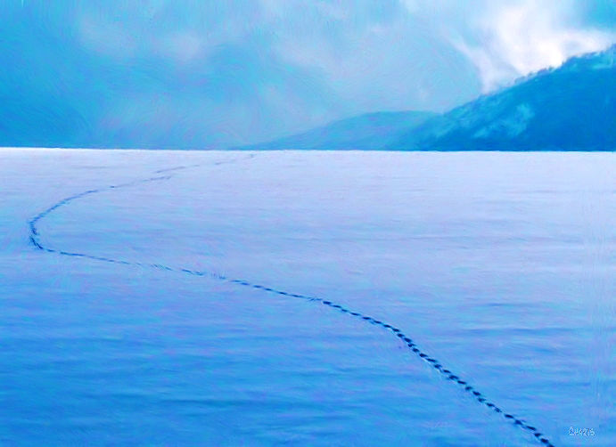 snow-path-camel-light