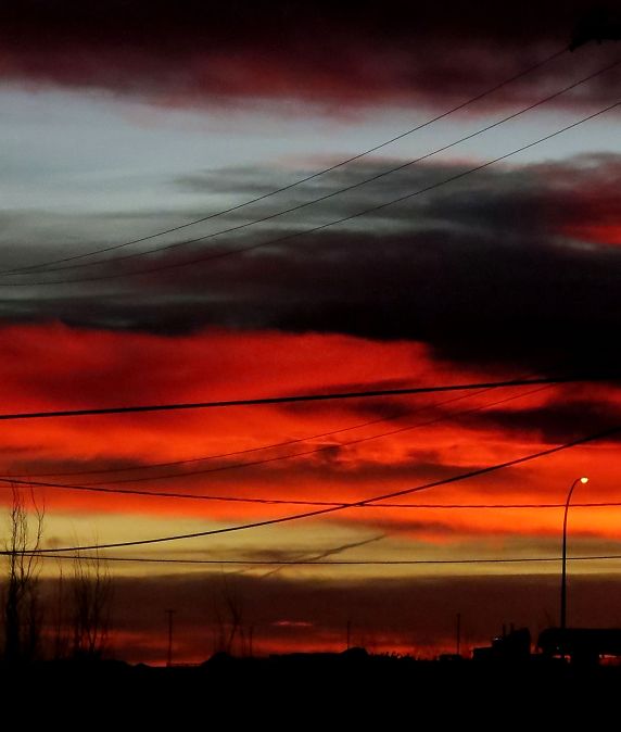 power-lines-wires-ch-img_6316-crop