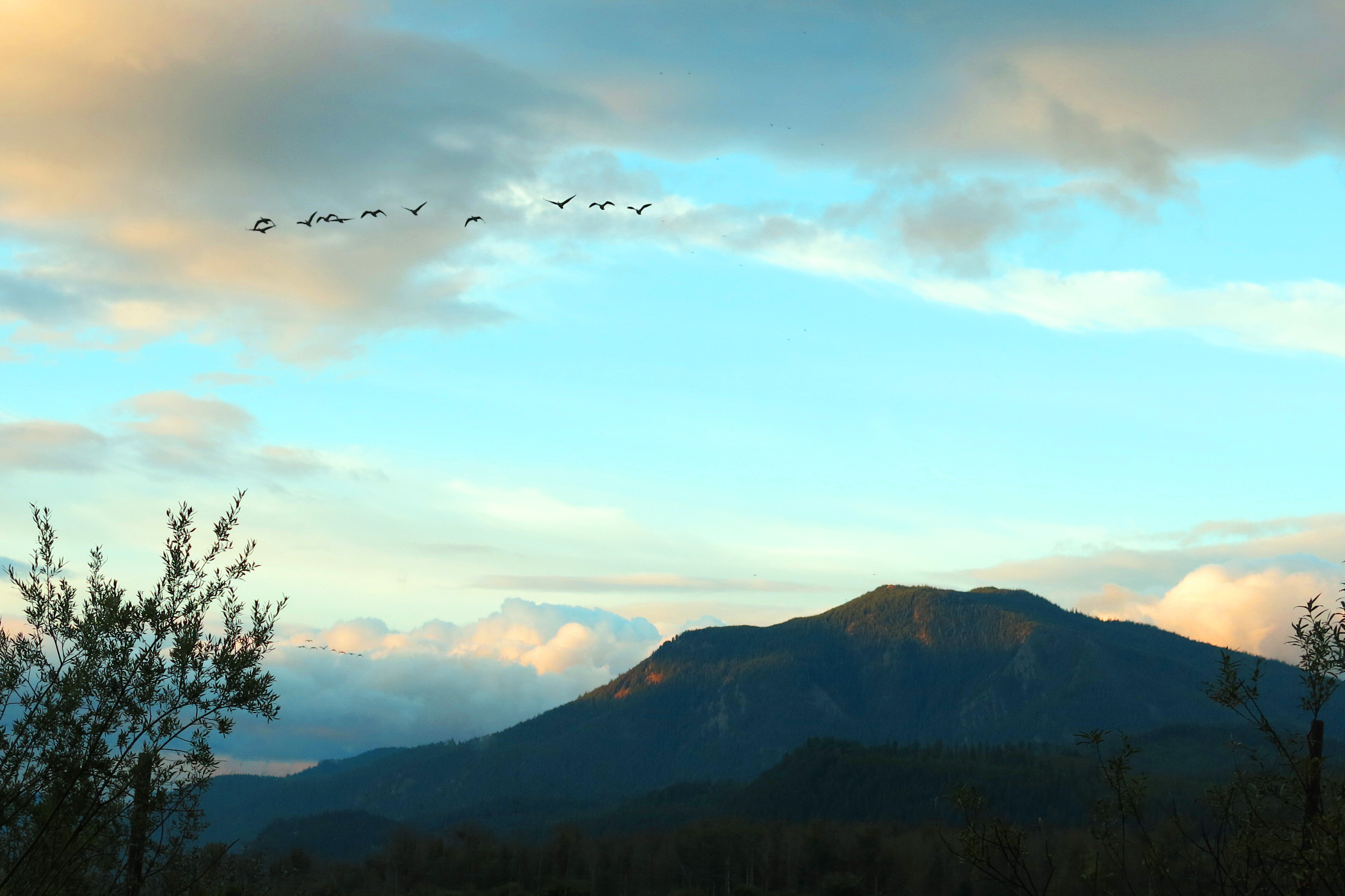 geese mountain sky IMG_2415