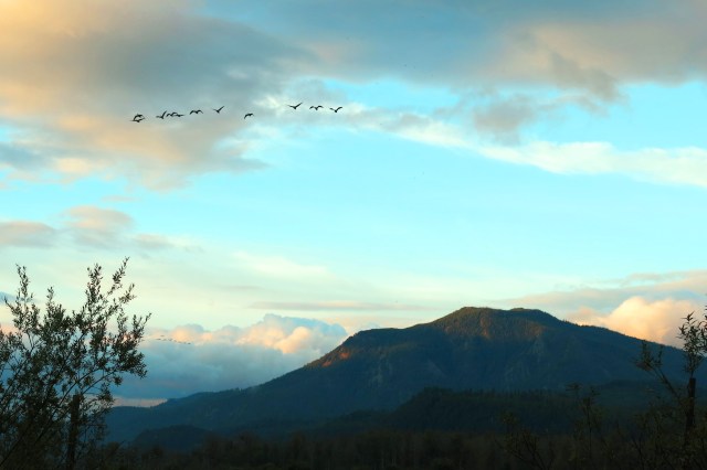 geese mountain sky IMG_2415