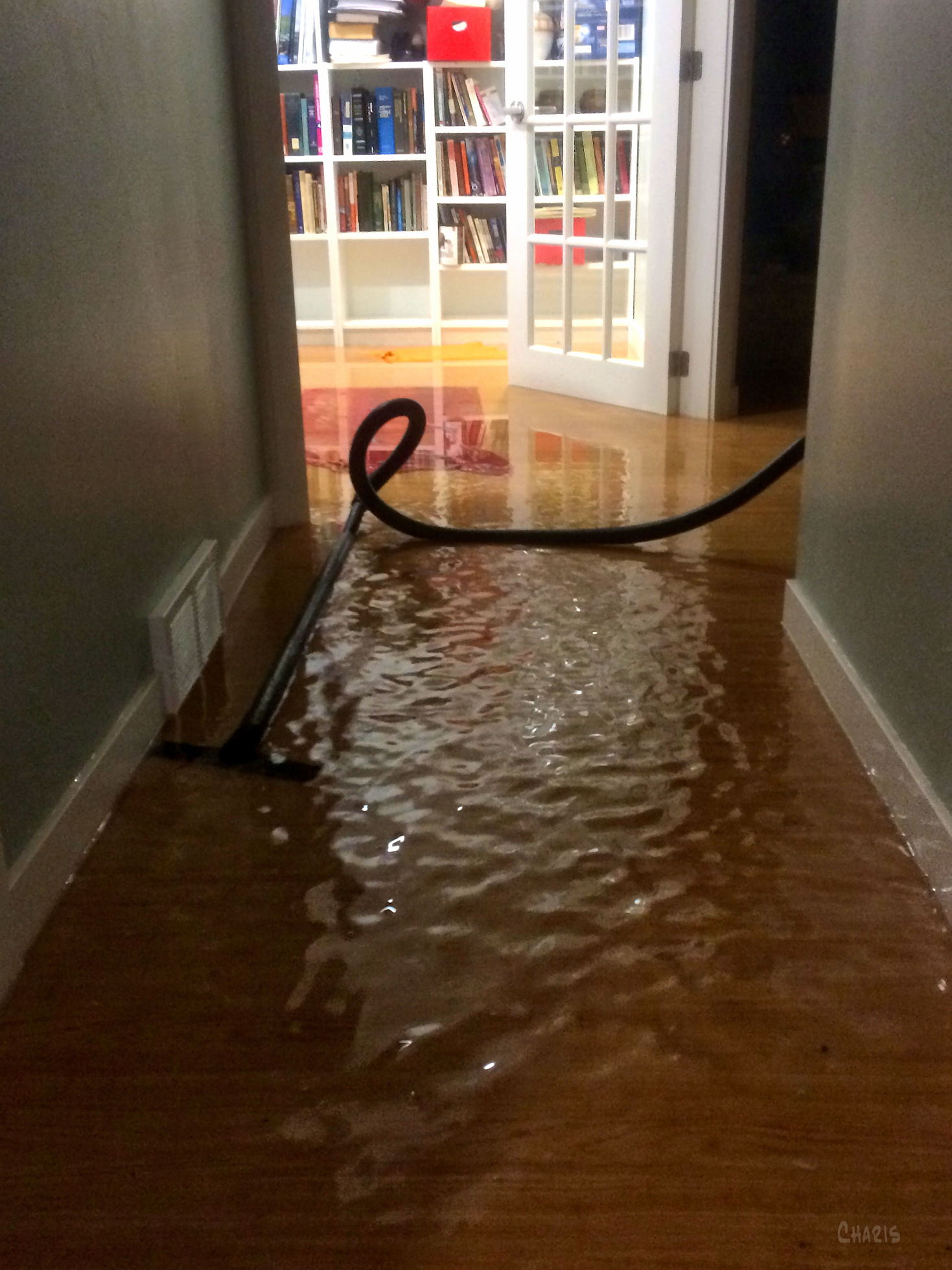 hallway water IMG_1378