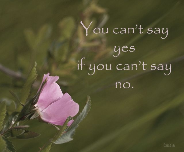 rosegrass_saying yes ch