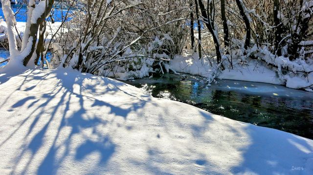 snow 2 winter creek ch rs  IMG_6066.jpg