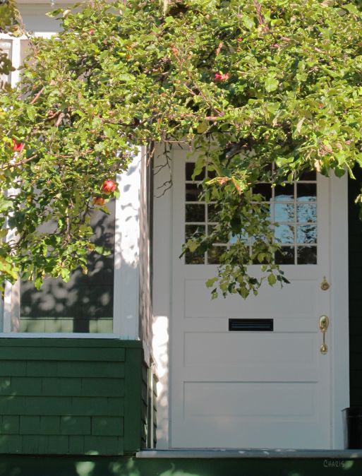 white door apple tree ch IMG_2343