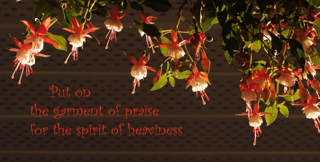 dancing fushia garment of praise