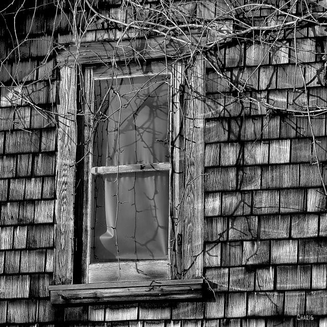 window shingles be ch sq IMG_0361