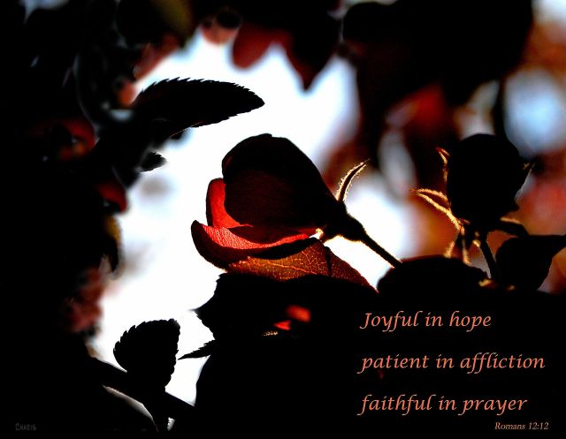 joyful in hope ch DSC_0044