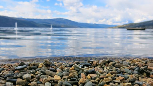pebbles Okanagan beach ch rs IMG_7296
