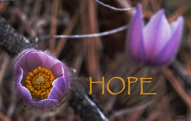 hope 3 forerunners ch DSC_0052