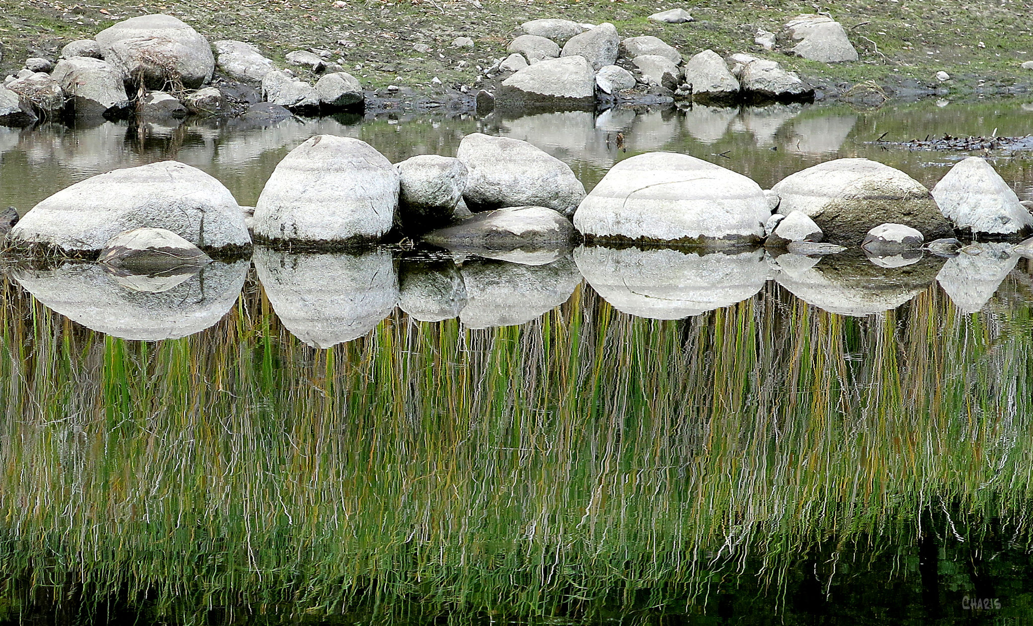 lake rocks reflect reeds ch rs IMG_5043 - Copy